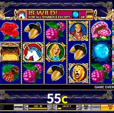 Apostas Esportivas na 55c: Um Guia Completo